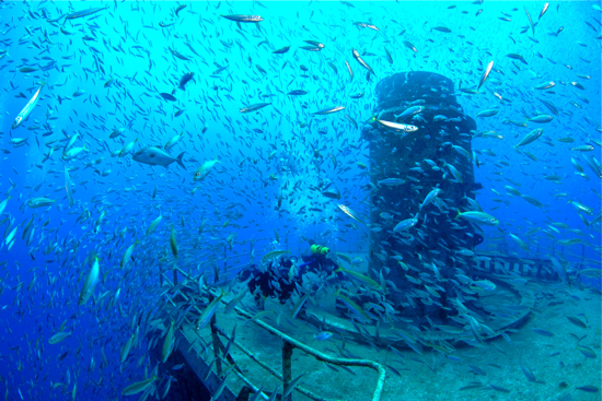 Vandylarge Divers swim over the former missile-tracking ship Gen. Hoyt S. Vandenberg amid thousands of fish Friday, May 21, 2010, off Key West, Fla., in the Florida Keys National Marine Sanctuary. A year after the ship was intentionally sunk May 27, 2009, the artificial reef has attracted more than 20,000 divers and 113 different species of fish.