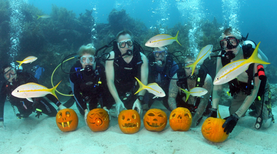 Underwater pumpkin contest carvers display their creations amid yellowtail snappers  in the Florida Keys National Marine Sanctuary. The contest, staged by the Amoray Dive Resort, judges divers on their artistic originality, as well as the degree of difficulty to carve the entry in the subsea environment.